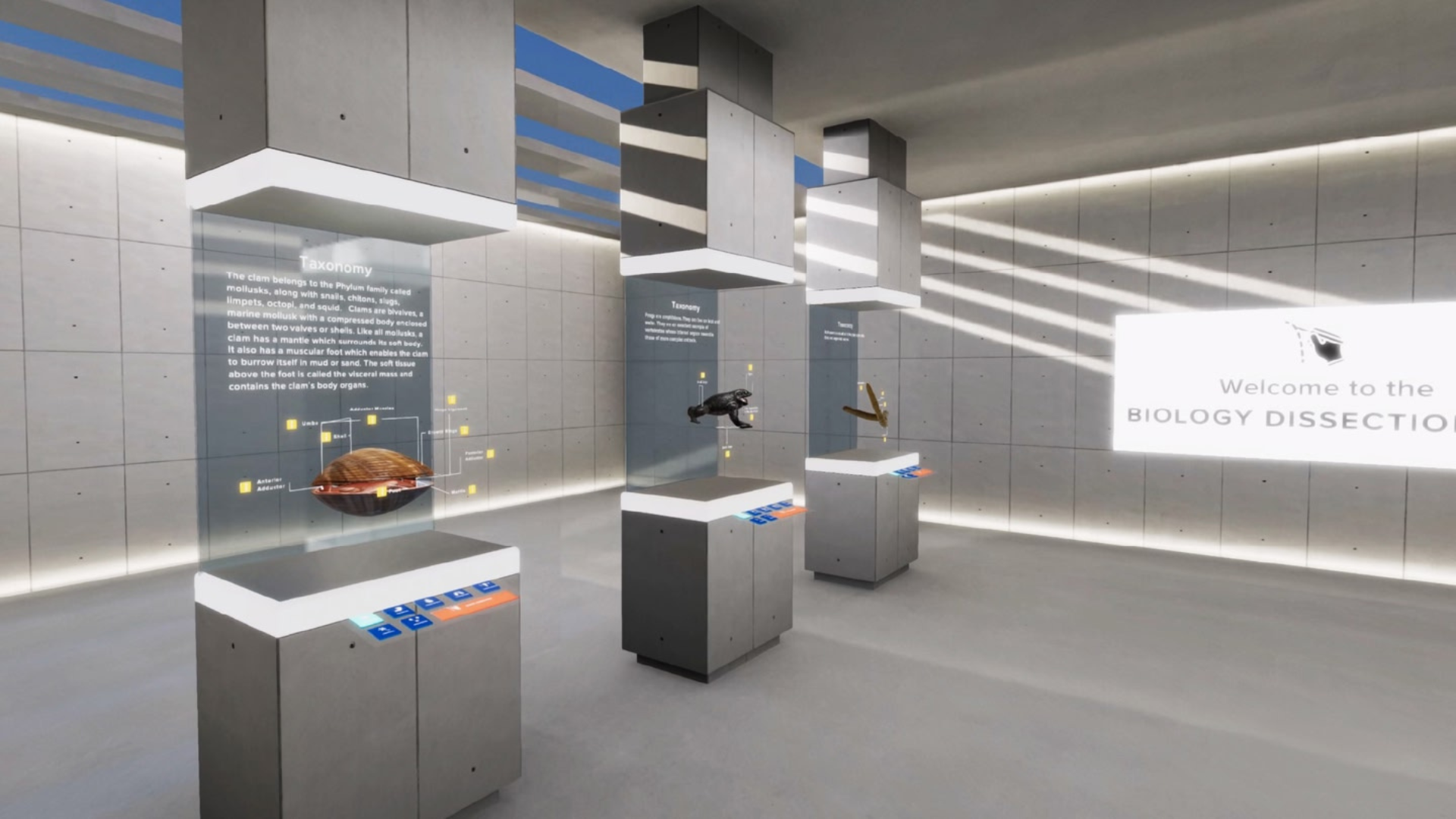 Dissection Gallery