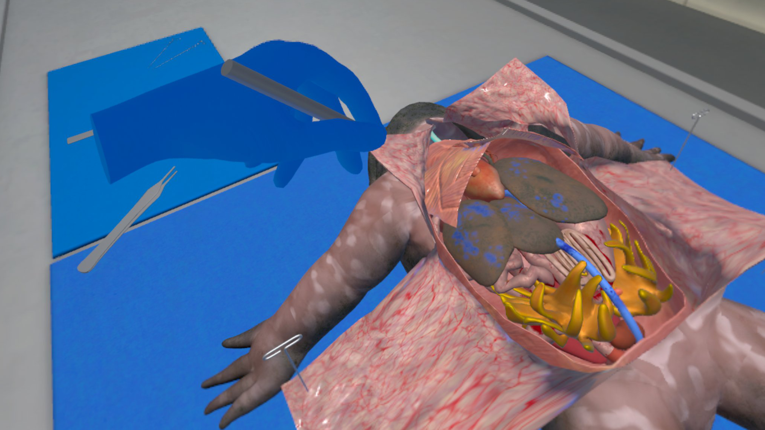FROG-Biology Dissections_13_Screenshot